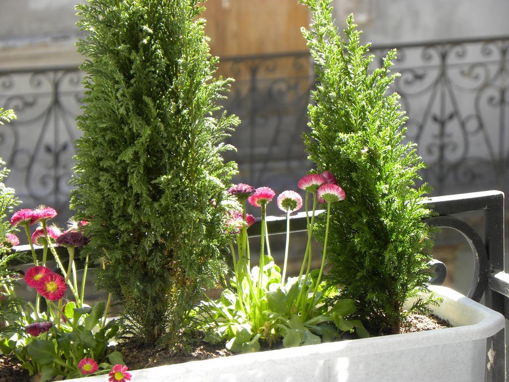 Prince Machabeli Apartments Tbilisi Eksteriør bilde